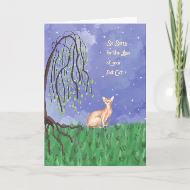 Carte Perte de chat animal de compagnie (Abyssinian) Car (Devant)