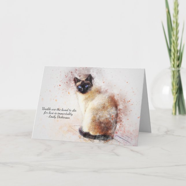 Carte Perte de chat animal de compagnie (Siamese) Sympat (Devant)