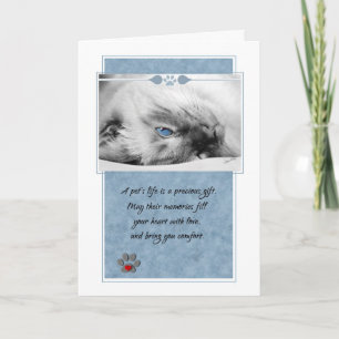 Carte Perte de chat Siamese sur Blue Pet Sympathie