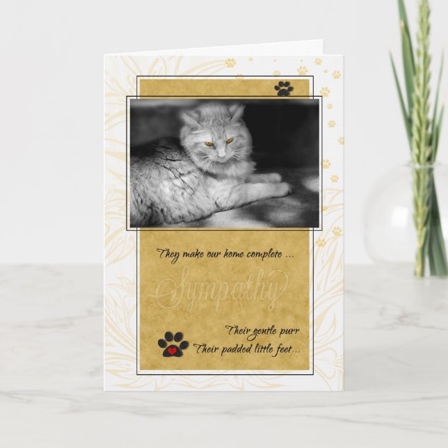 Carte Perte de chats Sympathie avec les animaux de compa (Devant)