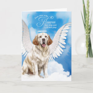 Carte Perte de la tumeur de chien Spaniel Pet Sympathie