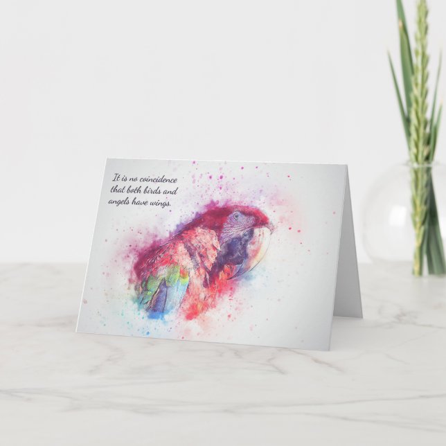 Carte Perte de l'animal de compagnie Macaw Sympathie per (Devant)