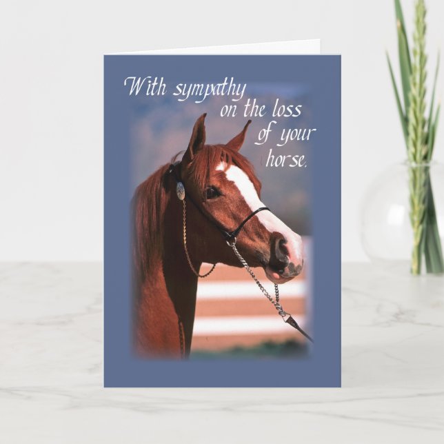 Carte Perte de sympathie du cheval, bleu (Devant)