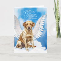 Perte du chien Labrador Retriever jaune Sympathie