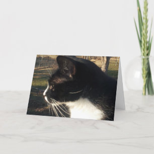 Carte Perte d'un animal de compagnie