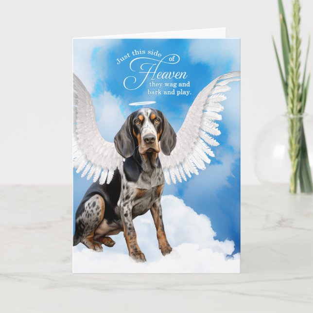 Carte Perte d'un Bluetick Coonhound Chien animal de comp (Devant)