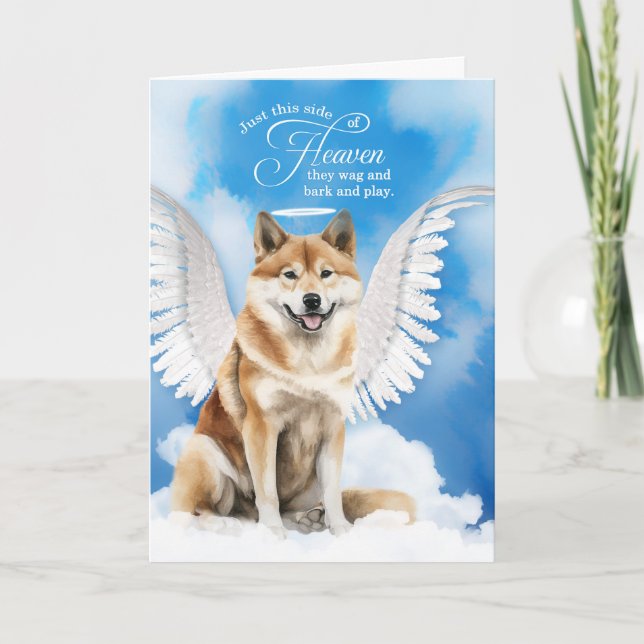 Carte Perte d'un chien Akita Inu Angel Pet Sympathie (Devant)