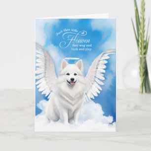 Carte Perte d'un chien américain Eskimo Angel Pet Sympat