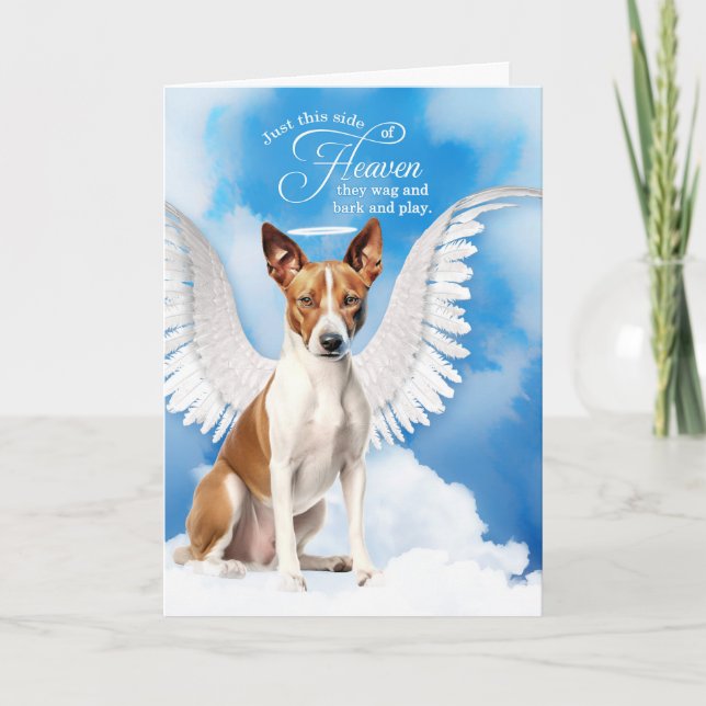 Carte Perte d'un chien Basenji Angel Chien Animal Sympat (Devant)