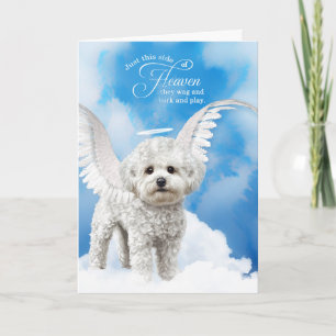 Carte Perte d'un chien Bichon Frise Pet Sympathie