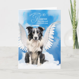 Carte Perte d'un chien Border Collie Ange Sympathie pour