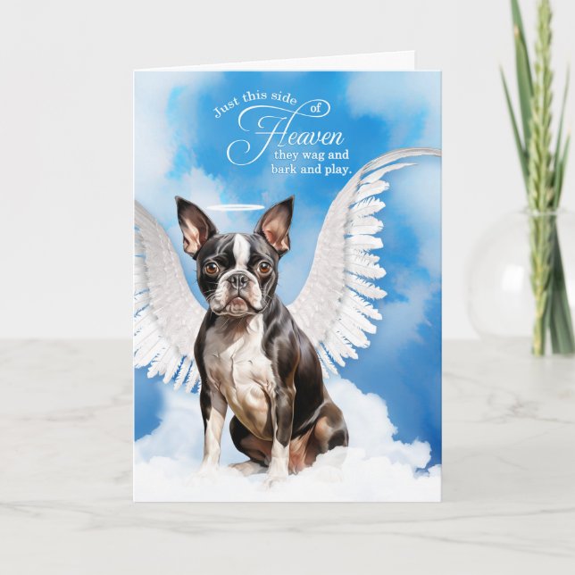 Carte Perte d'un chien de Boston Terrier Angel Pet Sympa (Devant)