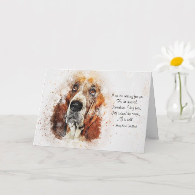 Carte Perte d'un chien de compagnie (Basset Hound) Condo (Petite plante)