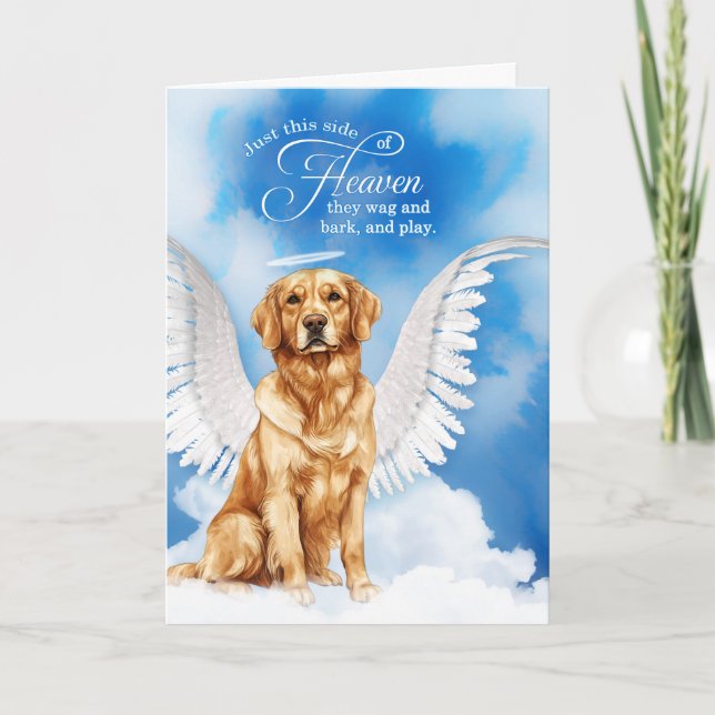 Carte Perte d'un chien Golden Retriever Angel Pet Sympat (Devant)