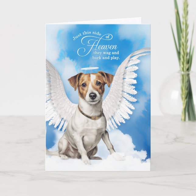 Carte Perte d'un chien Jack Russell Terrier Sympathie po (Devant)