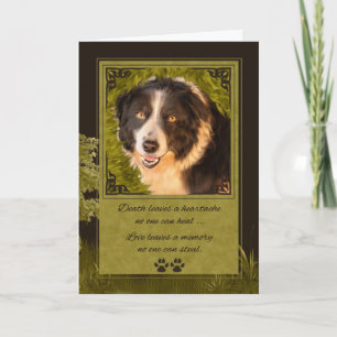 Carte Perte d'une frontière de chien Collie Pet Sympathi