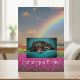 Carte Pet Chien Chat Rainbow Bridge Sympathie Photo pers
