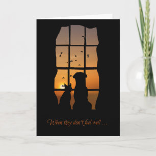 Carte Pet Get Well Card, Get Well Card for Cat or Dog