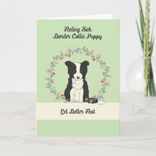 Carte Pet Get Well Card pour Bordure Collie Puppy (Devant)