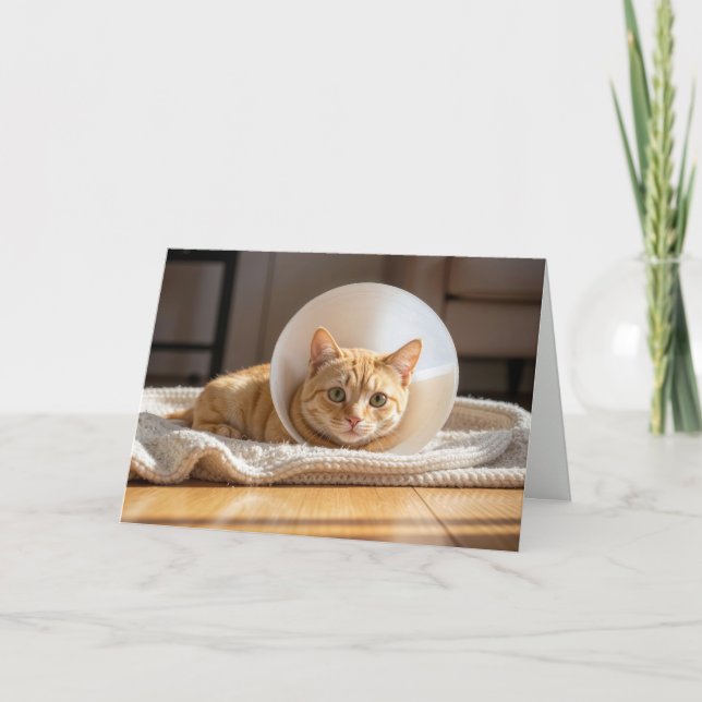 Carte Pet Get Well Ginger Cat Wearing a Cone of Shame (Devant)