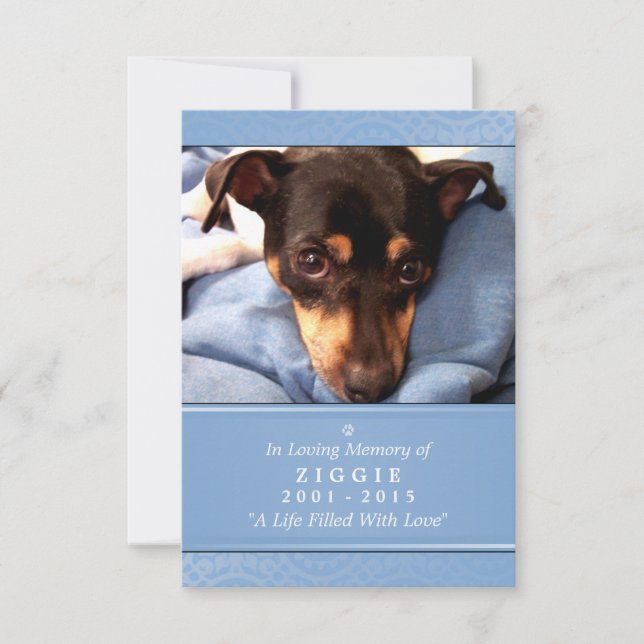 Carte Pet Memorial 3,5 po x 5 po - Photo Bleu clai (Devant)