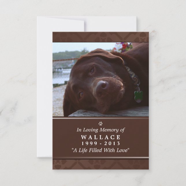 Carte Pet Memorial 3,5 po x 5 po - Photo Brown fon (Devant)