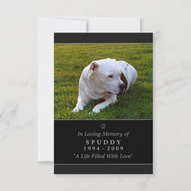 Carte Pet Memorial 3,5 po x 5 po Photo moderne noi (Devant)