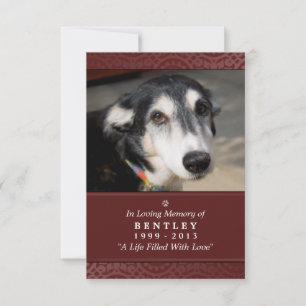 Carte Pet Memorial 3,5 x 5 Maroon God Vous A Vu Po