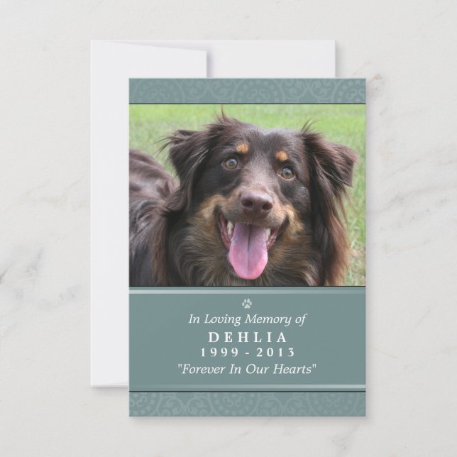 Carte Pet Memorial 3.5x5 Turquoise - Ne Grieve pas (Devant)