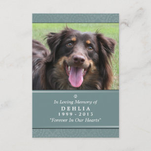 Carte Pet Memorial 3.5x5 Turquoise - Ne pas pleure