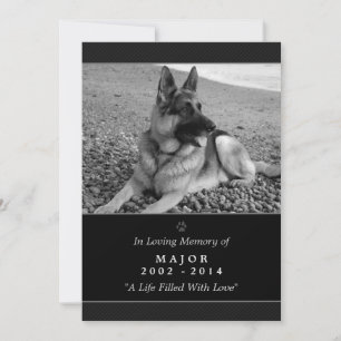 Carte Pet Memorial 5"x7" Black Modern - Homme Pet