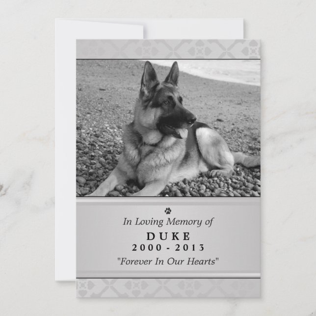 Carte Pet Memorial 5"x7" Gris moderne - Homme anim (Devant)