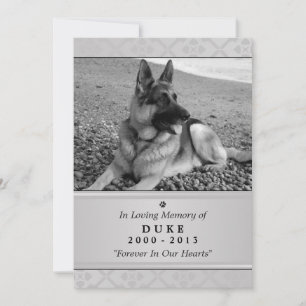 Carte Pet Memorial 5"x7" Gris Photo moderne
