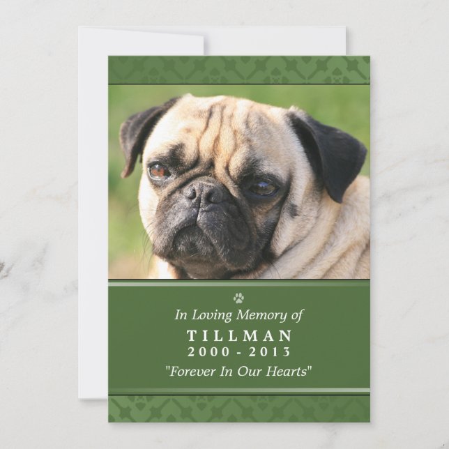 Carte Pet Memorial 5"x7" photo verte (Devant)