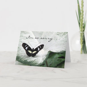 Carte Pet Smpathy - papillon