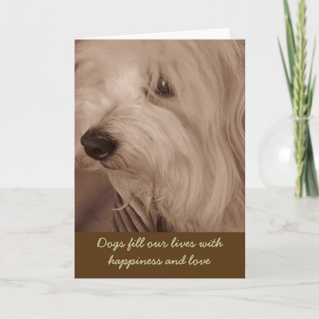Carte Pet Sympathy Card--Sepia White Dog (Devant)