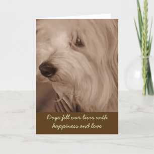 Carte Pet Sympathy Card--Sepia White Dog