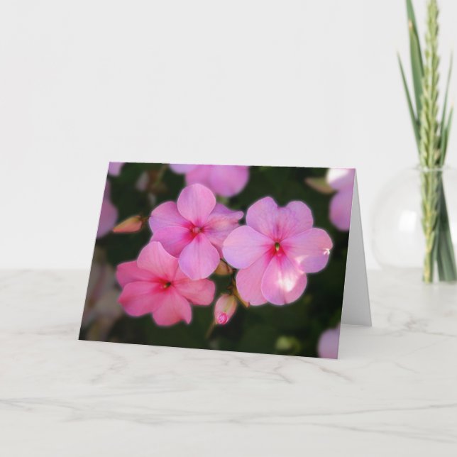 Carte Pétales dans le rose (Devant)