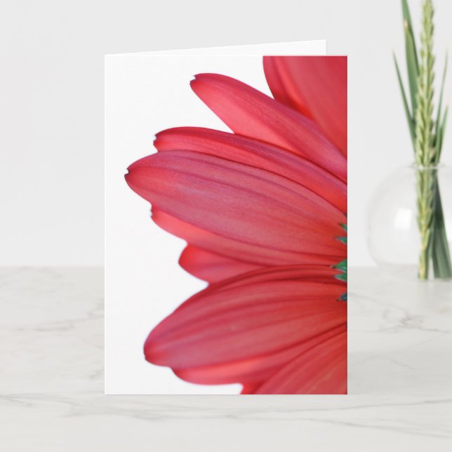 Carte Pétales de ciel (Devant)