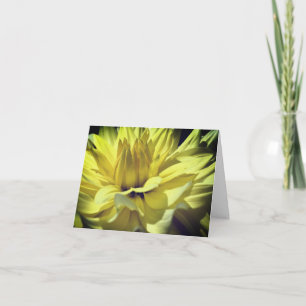 Carte Pétales de fleur de dahlia jaune Note de photograp