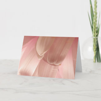 Carte Pétales de fleurs roses