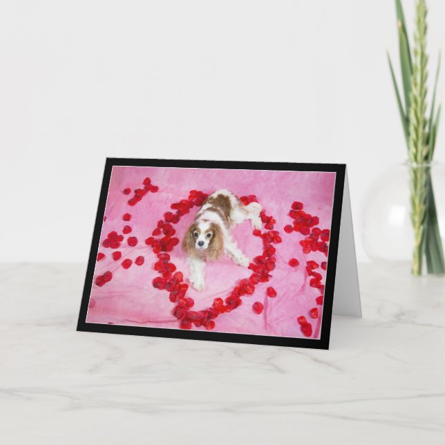 Carte Pétales de Rose et Cavalier King Charles Spa (Devant)