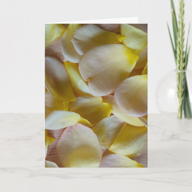 Carte Pétales de rose jaune (Devant)