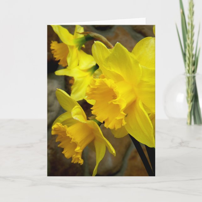 Carte Pétales ensoleillées (Devant)