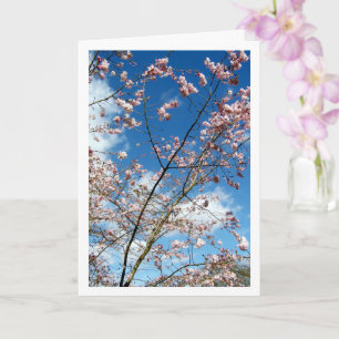 Carte Pétales roses dans un paysage de ciel bleu