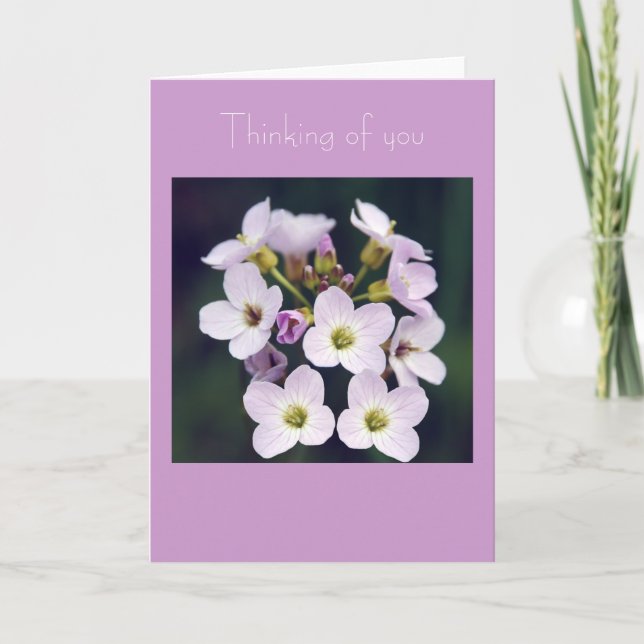 Carte Petit bouquet de ressort (Devant)