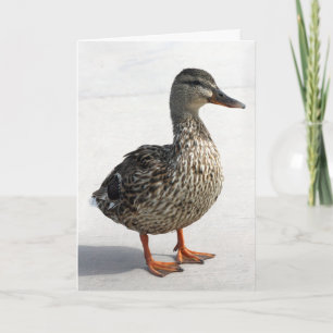 Carte Petit canard