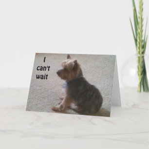 CARTE PETIT CHIEN AVEC UN GRAND SOUHAIT D'ANNIVERSAIRE