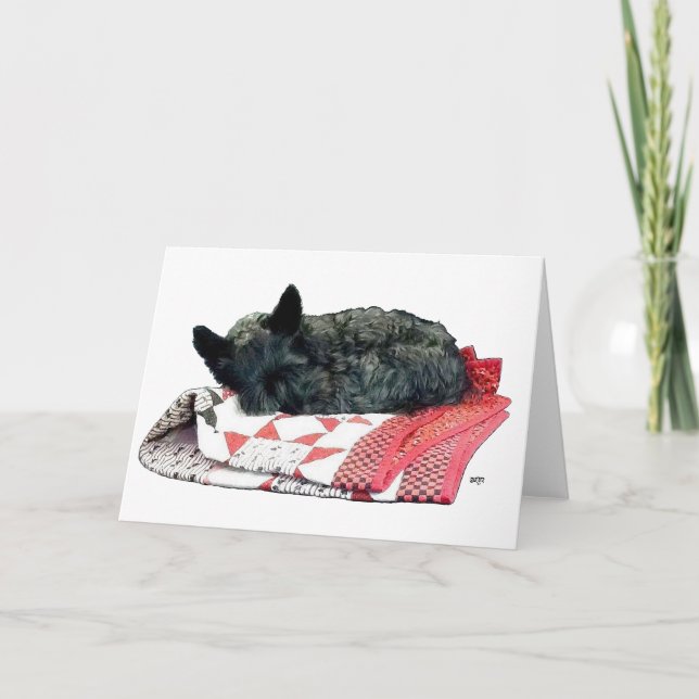 Carte Petit chien Scottie endormi (Devant)