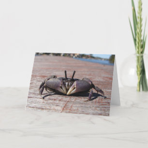Carte Petit crabe à la boue